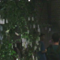 Juni ke Yogya? Jangan pernah lewatin ARTJOG