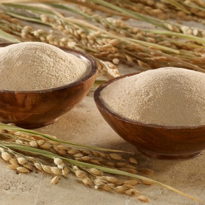 Enaknya Makanan Ayam!