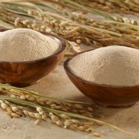 Enaknya Makanan Ayam!