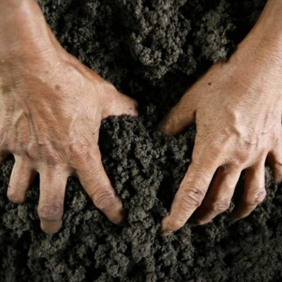 Ini Caranya Bikin Tanah Enak Dimakan!