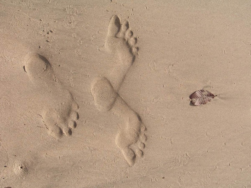 Penemuan Jejak Yeti di Rusia