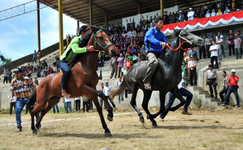 Pacu Kude, Tak Habis Dimakan Zaman