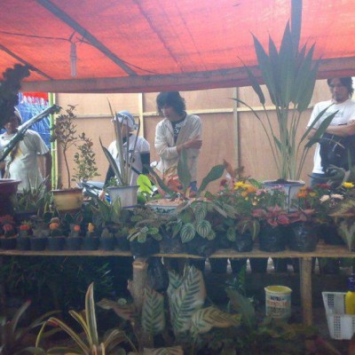 Hobi Jadi Pundi di Komunitas Rumah Daun