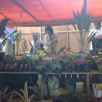 Hobi Jadi Pundi di Komunitas Rumah Daun