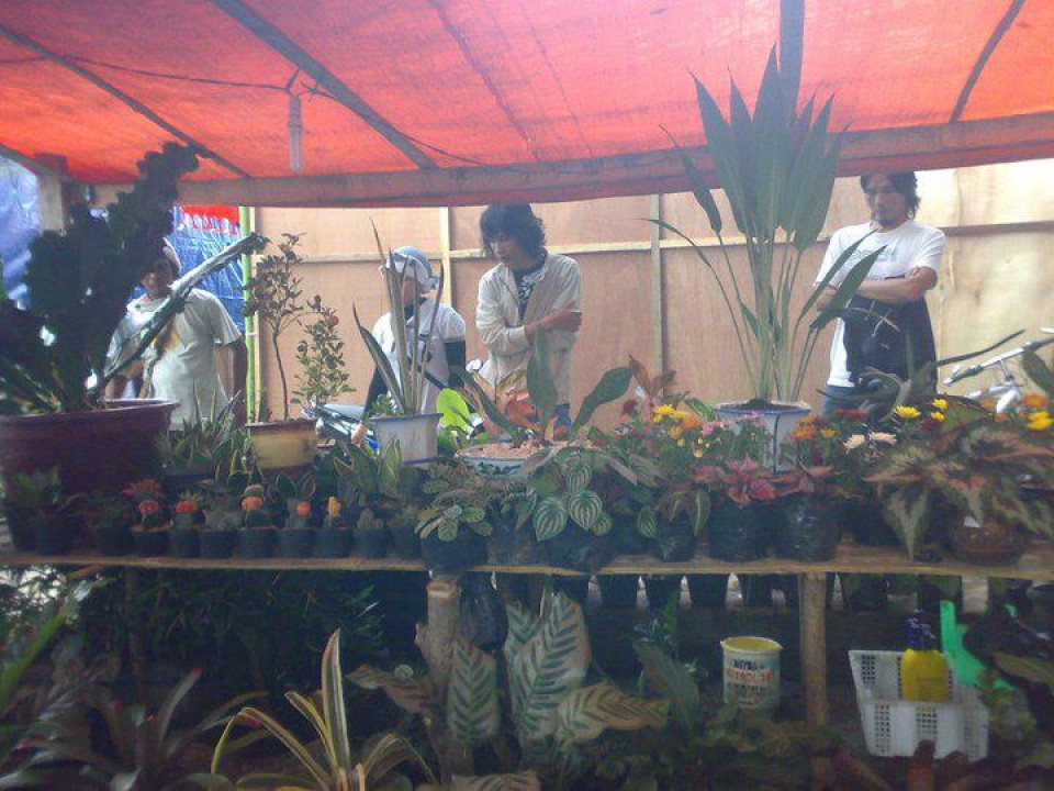 Hobi Jadi Pundi di Komunitas Rumah Daun