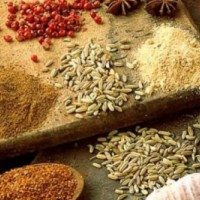 Waktunya Kuliner Indonesia Mendunia