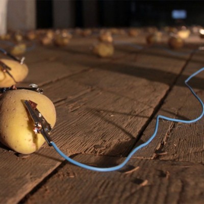 Pakai Kentang Bisa Hemat Listrik 40 Hari!