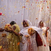 Ada Juga Lho Kota Janda