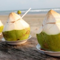 Segar dan Manfaatnya Banyak!