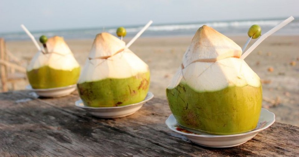 Segar dan Manfaatnya Banyak!