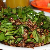 Hap! Tangkap Ayam untuk Ayam Tangkap