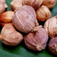 Wajib Dicoba, Ini 4 Manfaat Kapulaga!