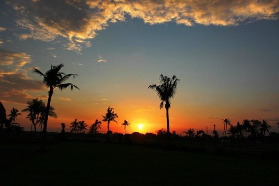 Ada Sawah, Ada Ngobor!