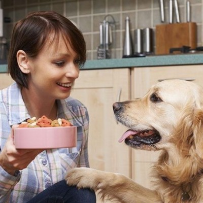 Bahaya, Jangan Berikan Makanan Ini Buat Anjing!