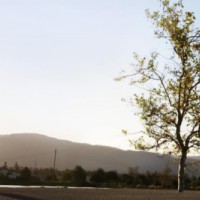 Olahraga Saat Puasa? Kenapa Tidak!