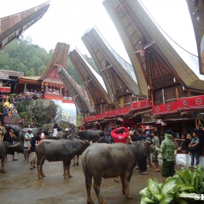 Kematian Mewah dari Tana Toraja