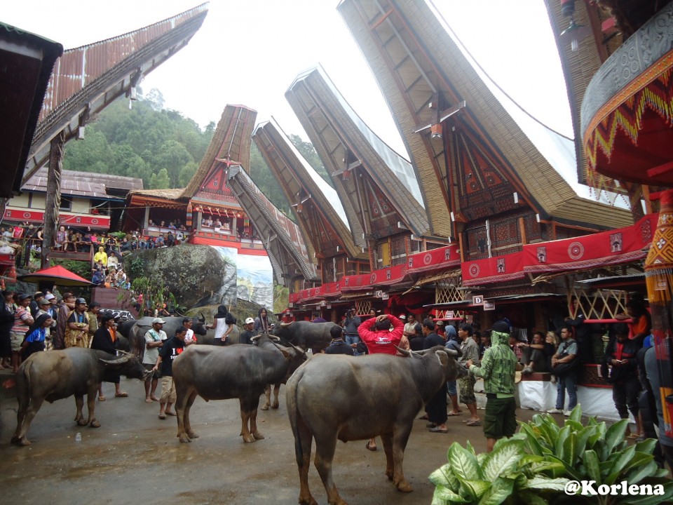 Kematian Mewah dari Tana Toraja