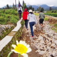 Agropolitan Cianjur, Buat Kamu Yang Ingin Balik Ke Desa