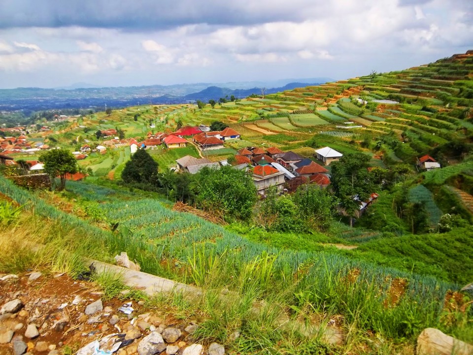 Agropolitan Cianjur, Buat Kamu Yang Ingin Balik Ke Desa