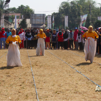SOBAT COKLAT DESA MEKARJAYA 
