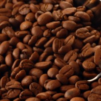 Ini dia Kopi Terbaik di Indonesia