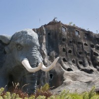 Jatim Park 2, Destinasi Wisata dan Pembelajaran Satwa