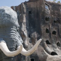 Jatim Park 2, Destinasi Wisata dan Pembelajaran Satwa