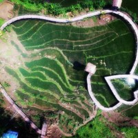 Jembatan Ini Bisa Abadikan Cinta!