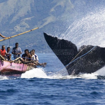 Bagian 2 - Perahu Para Pemburu Bernama Paledang