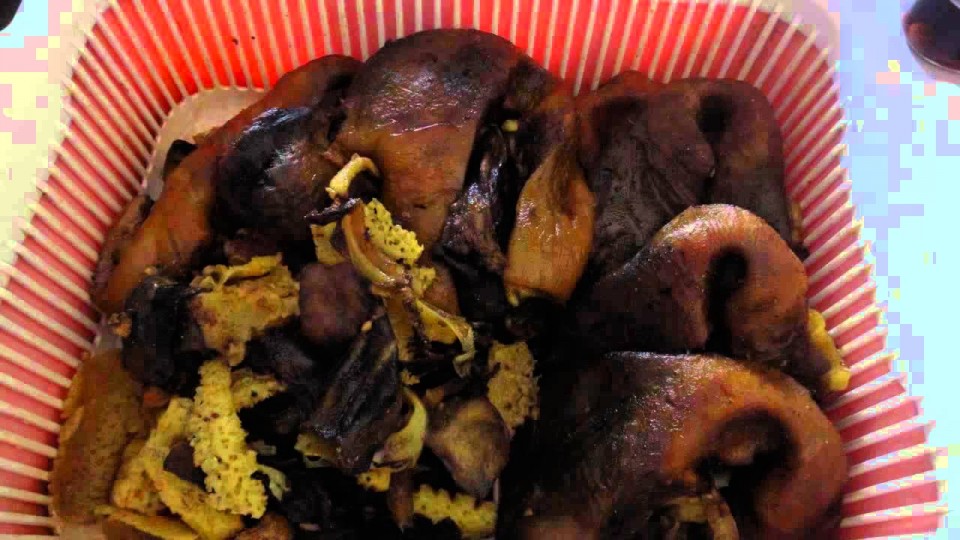 Makan Gorengan Ditemani Hidung Sapi