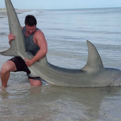 Tangkap Hiu Dengan Tangan Kosong?!