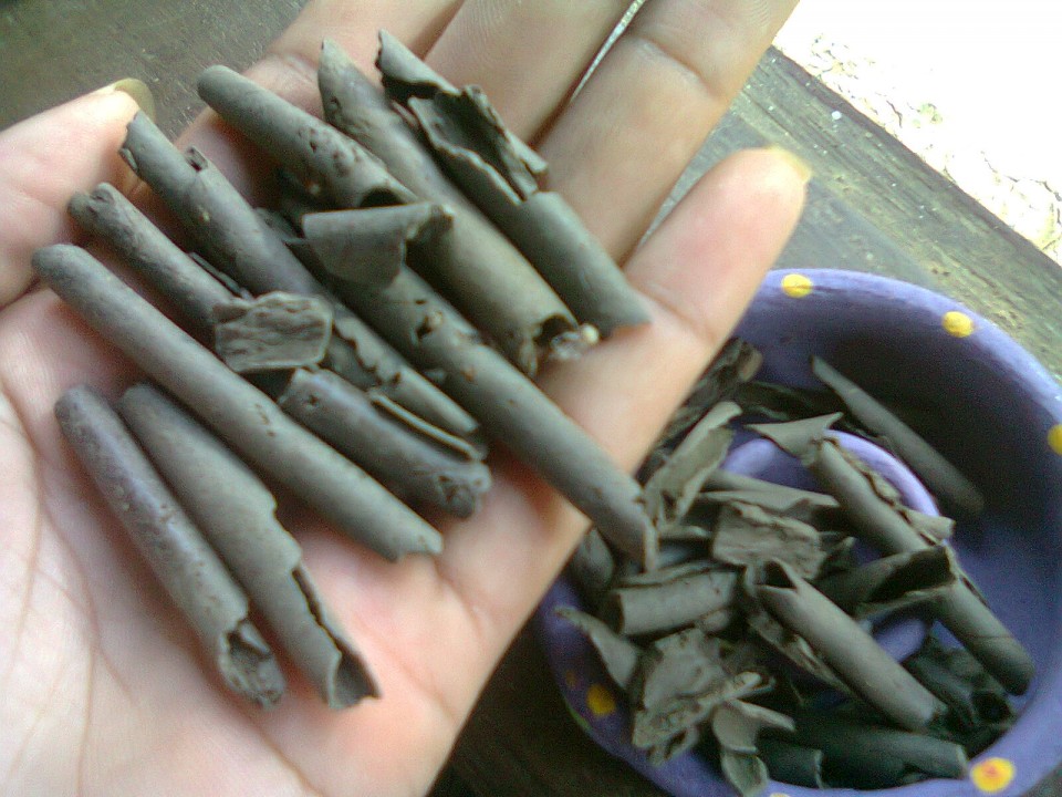 Makan Ampo Benar Berkhasiat?