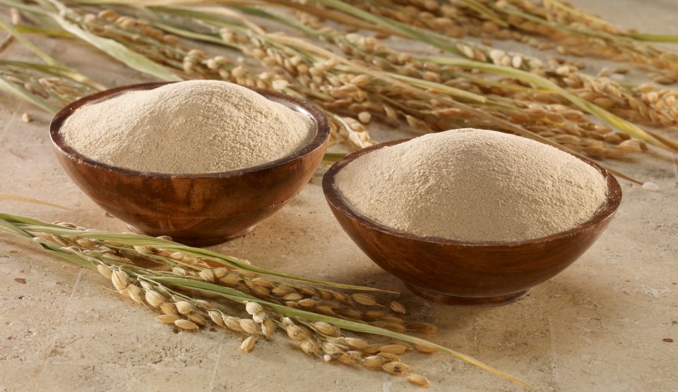 Pakan Bebek Jadi Juara Sayembara Oleh-Oleh!