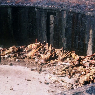 Burung Dibiarkan Memakan Mayat