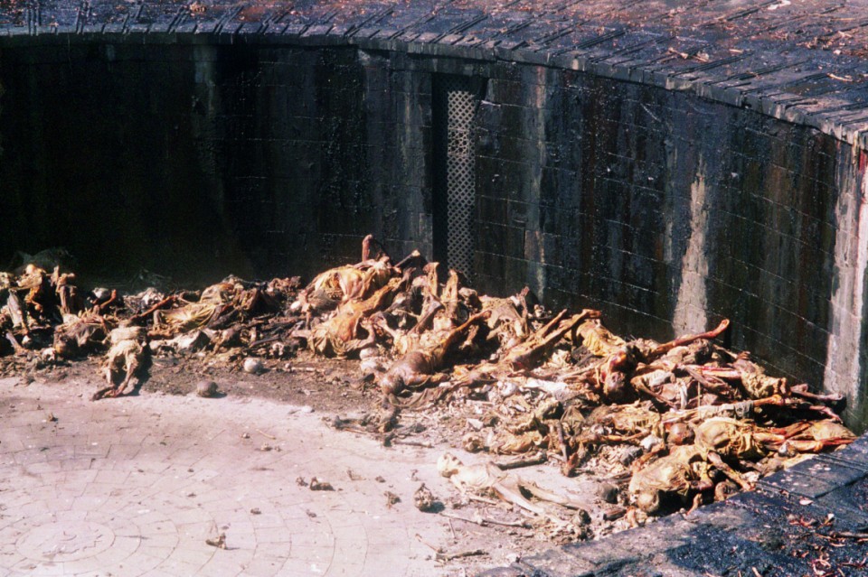 Burung Dibiarkan Memakan Mayat