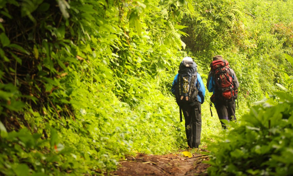 Ingin Sehat? Mendaki Gunung Saja