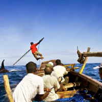Bagian 3 (Tamat) Lamafa ; Para Pendekar Paus Perairan Laut Savu 