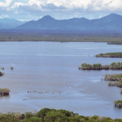 Danau Unik Ini hanya ada di Kalimantan Barat