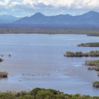 Danau Unik Ini hanya ada di Kalimantan Barat