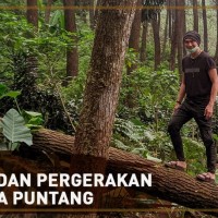 Manji dan Pergerakan Nagara Puntang