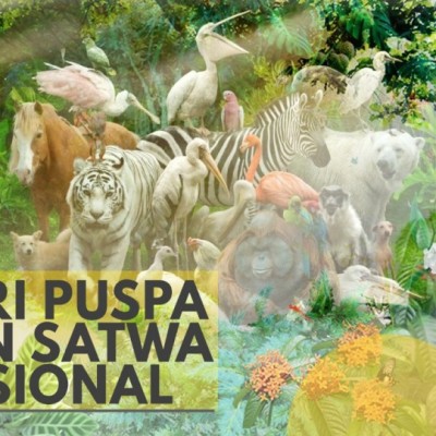 HARI CINTA PUSPA DAN SATWA NASIONAL