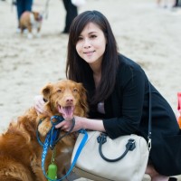 Mengenal Anjing Dari Komunitas Ini